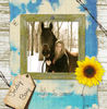 Dear Indy, - Pets Photo Book
