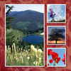 Angelina's album - Nature Photo Book