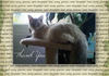 Thank you from Harley - Pets Folded Card