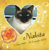 Nakita - Pets Photo Book