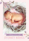 Baby Birdy Pink