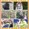 London zoo - Photo Book