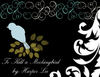 To Kill a Mockingbird - Interests Photo Book