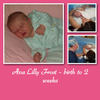 Ava Lilly Frost - birth to 2 weeks - Photo Book