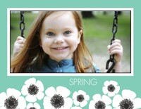 Mod Spring