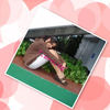 The Story of my Friend Dayani - Photo Book