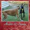 Amber & Timmy - Nature Photo Book