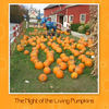 The Night of the Living Pumpkins - Holiday Photo Book