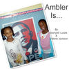Ambler Is... - Stories Photo Book