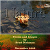 Nature - Nature Photo Book