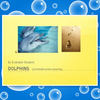 Student Sample - Photo Book