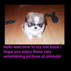 my animal pics  - Pets Photo Book