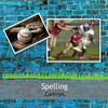 The Great Ball Game Spelling 3 Times Eac - Education Photo Book