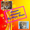 Amozon adventure - Travel Photo Book
