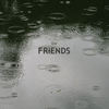 Our Friends - Friends Photo Book