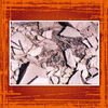 Chihuahuan desert - Education Photo Book