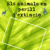 Les animals en perill d'extinció - Nature Photo Book