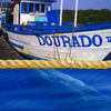 Dourado - Photo Book