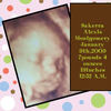 Sakerra - Photo Book