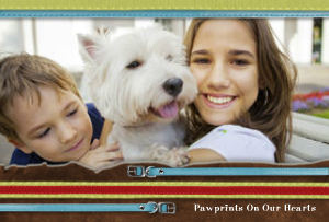Pet
