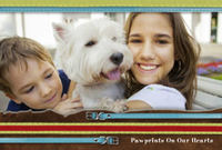 Pet