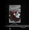 andrews and treana - Wedding Photo Book