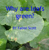 Why are leafs green - Education Photo Book