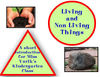 Living and Non-Living Things - Nature Photo Book