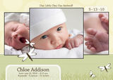 Photo Birth Announcements - Dragonfly Fields