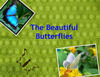 Jen's insect reports - Education Photo Book