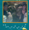 PatsysPups - Pets Photo Book