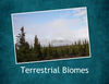 More Biomes - Photo Book