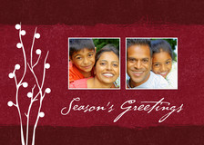 Christmas Cards - Contemporary Berries