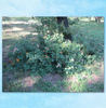 October 2010 - Stories Photo Book