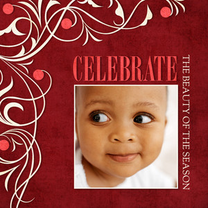 Celebrate the Beauty
