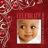 Celebrate the Beauty