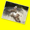 Fred and Belle - Nature Photo Book