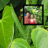 Honeymoon in Maui - June 2005 - Travel Photo Book
