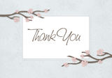 Baby Shower Thank You - Shower Blossoms