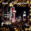 Pop Culture 3A - Photo Book