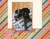 Summer Days - Interests Photo Book