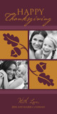 Thanksgiving Cards - Modern Acorn