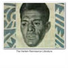 Harlem Renaissance  - Education Photo Book