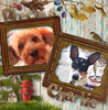 CHARLIE - Interests Photo Book