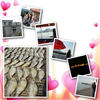 4th beautiful day and regretful day - Photo Book