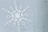 2039_629442_t