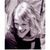 allison musick